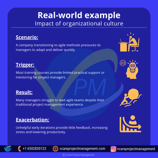 Real-world example: impact of organizational culture