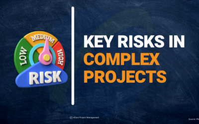Key Risks in Complex Projects and Effective Risk Management Strategies