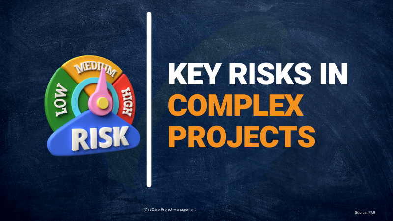 Key Risks in Complex Projects and Effective Risk Management Strategies