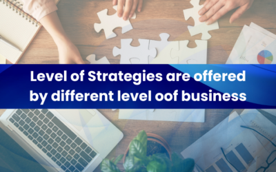 Levels of Strategies are Offered by Different Levels of a Business | vCare Project Management