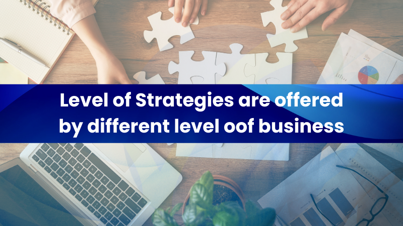 Levels of Strategies are Offered by Different Levels of a Business | vCare Project Management
