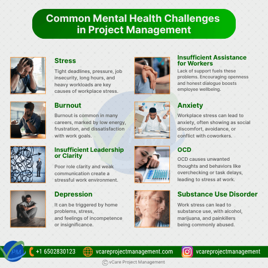 Key mental health risk factors affecting professionals in project environments